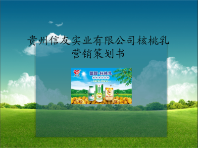 核桃乳市場(chǎng)營(yíng)銷(xiāo)策劃方案